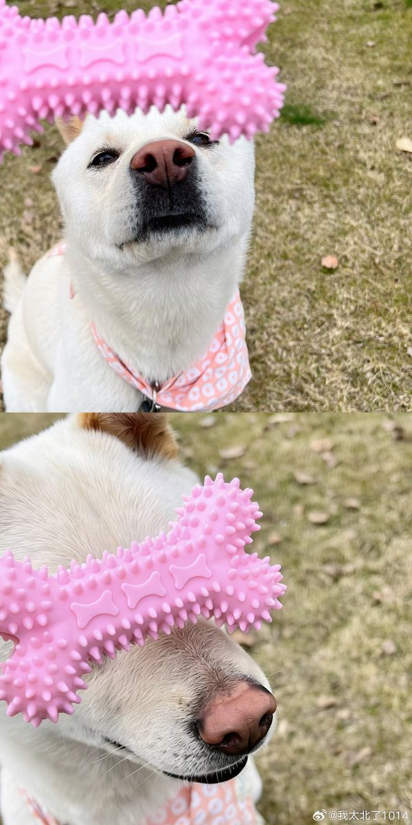 CaandyWu tweet media