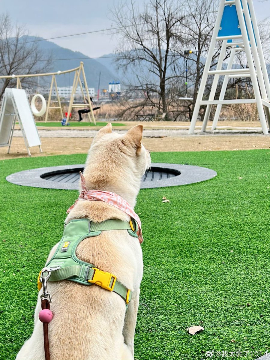 CaandyWu tweet media