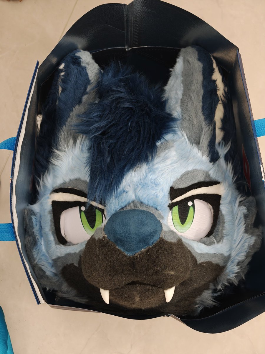 紺凌祈 tweet media