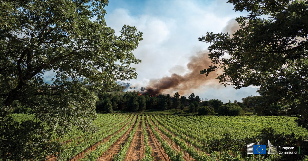 EU Agriculture🌱 tweet media