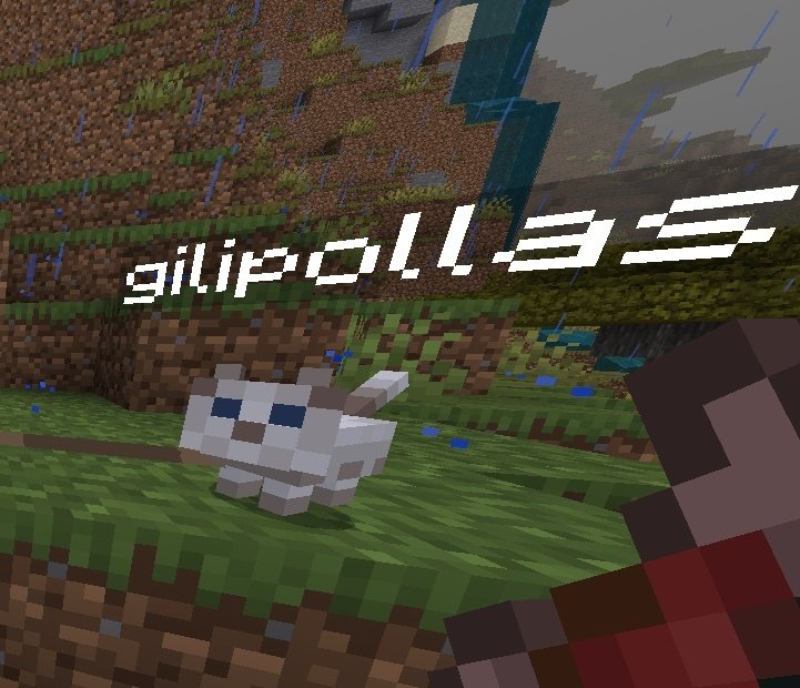 𝓵𝓪𝓬𝓻𝓲𝓶𝓸𝓼𝓪 𖤐 tweet media