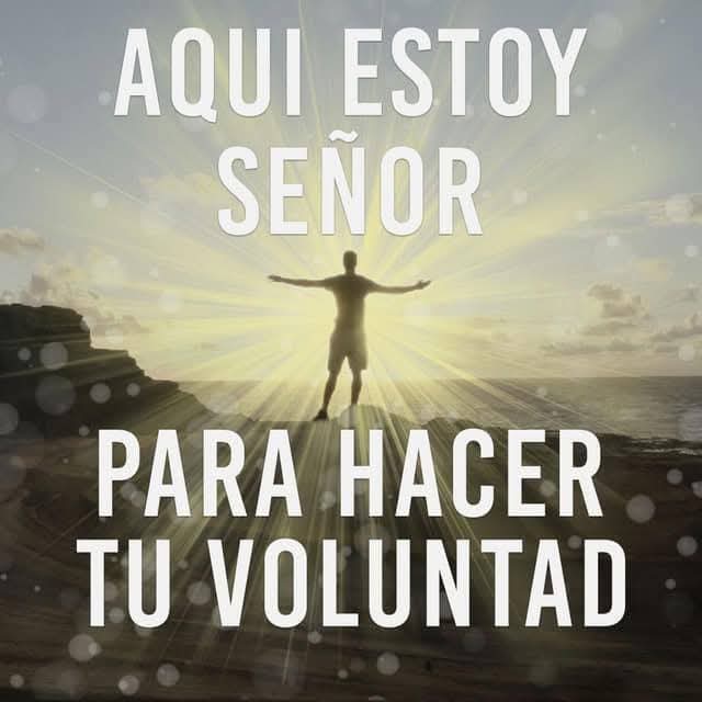 Marco Rodas™👑🇬🇹 tweet media