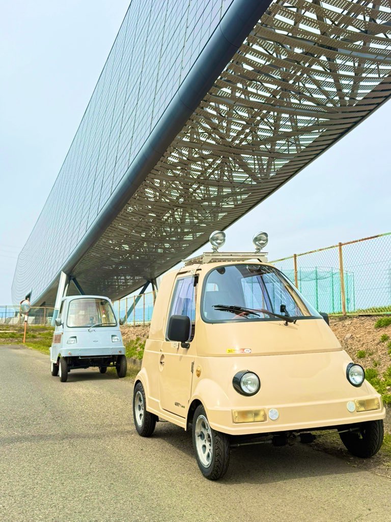 蝉時雨 tweet media