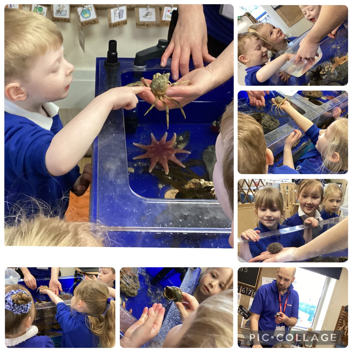 Jerry Clay Academy tweet media