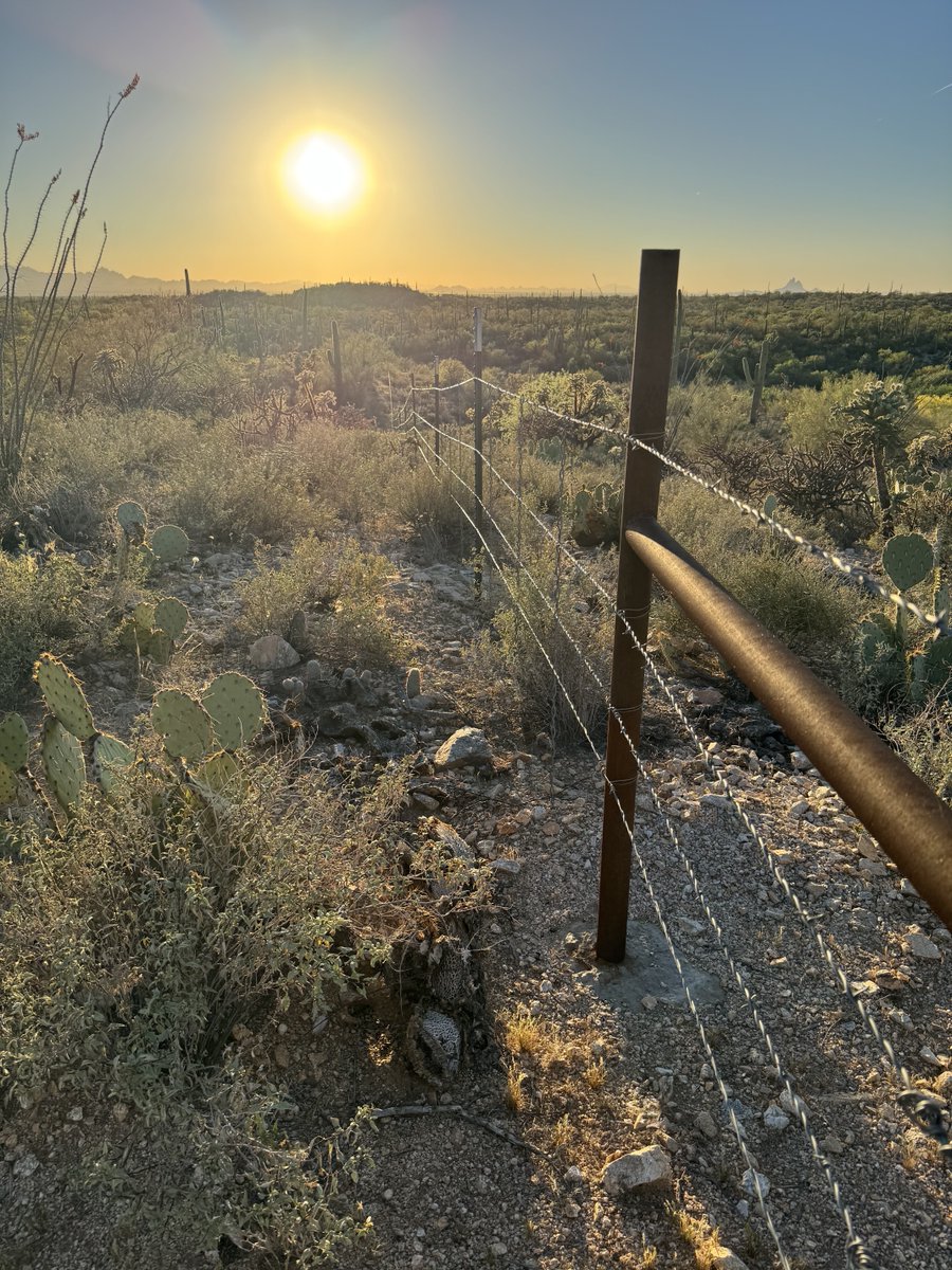 The Metaxy tweet media