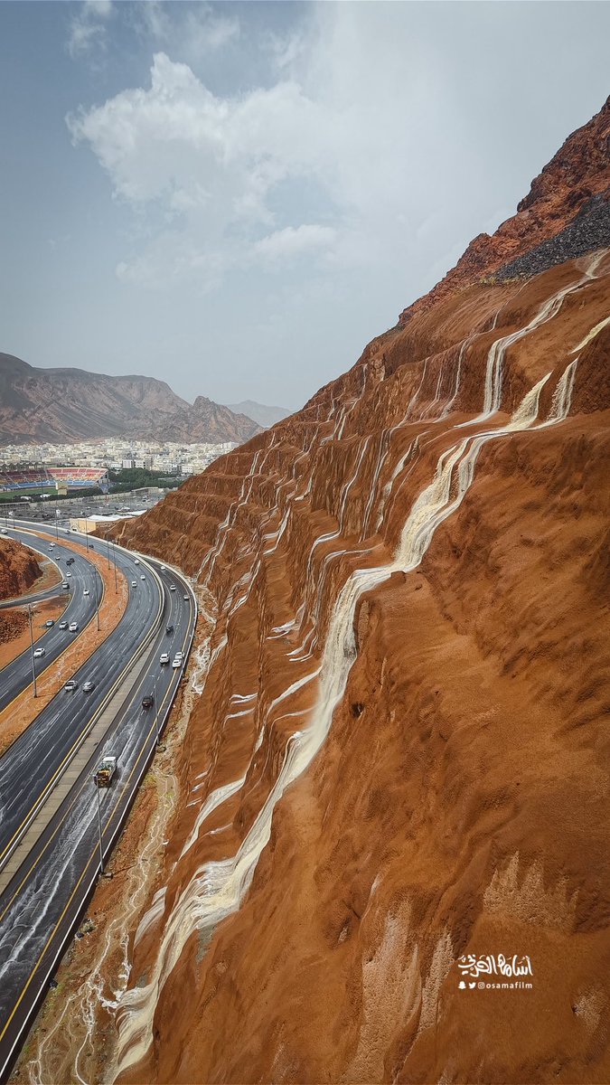 أسامه الحربي tweet media