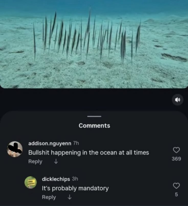 shadoomf🪲🇵🇸(homunculus enjoyer) tweet media