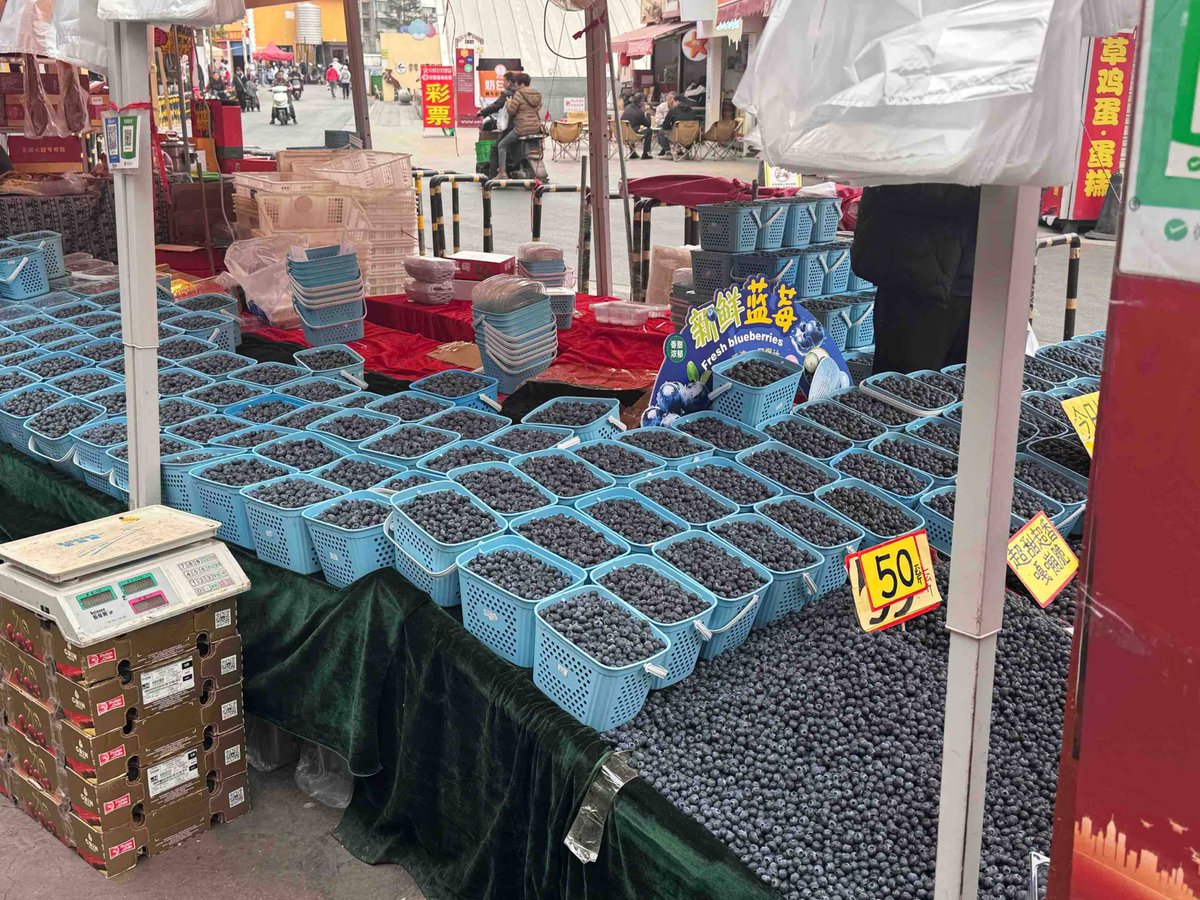 Warren Peace tweet media