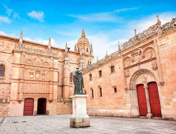 Desde mi punto de vista por Constantino de Miguel tweet media