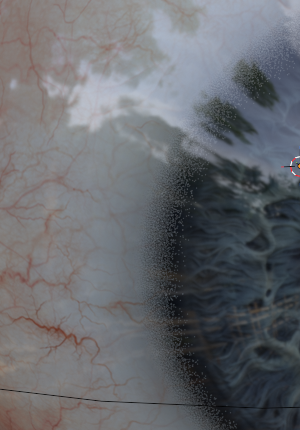 Henning Sanden tweet media