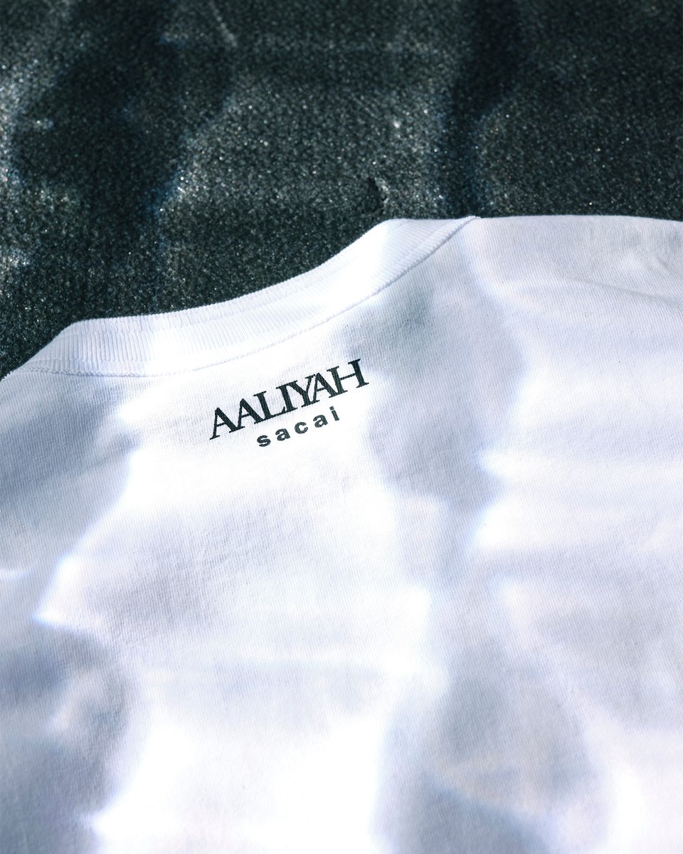 Modern Notoriety tweet media