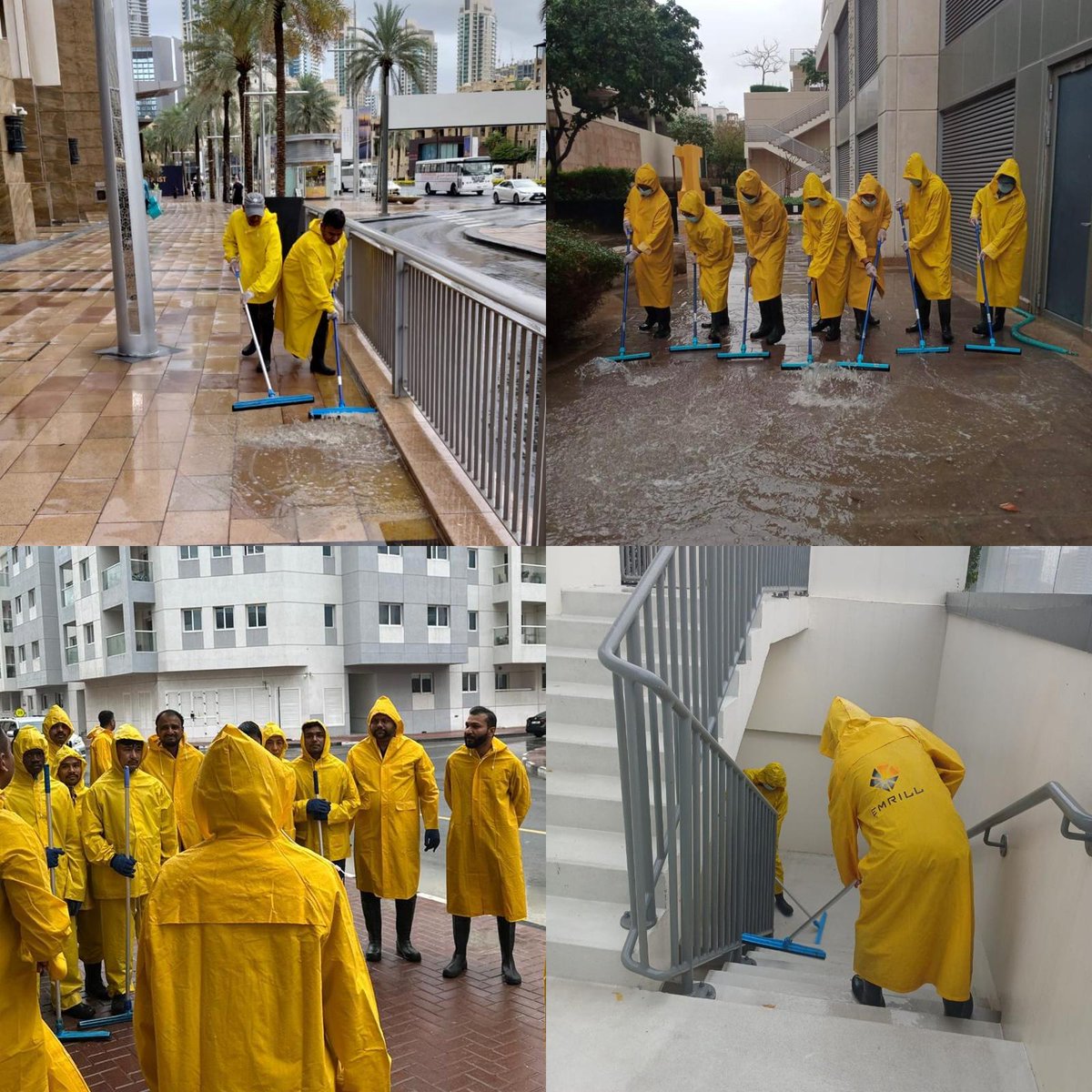 Stuart Harrison tweet media