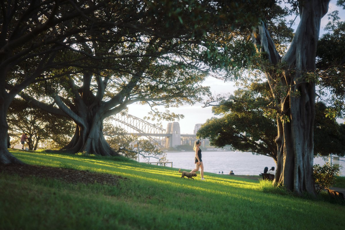 CatzCrewz tweet media