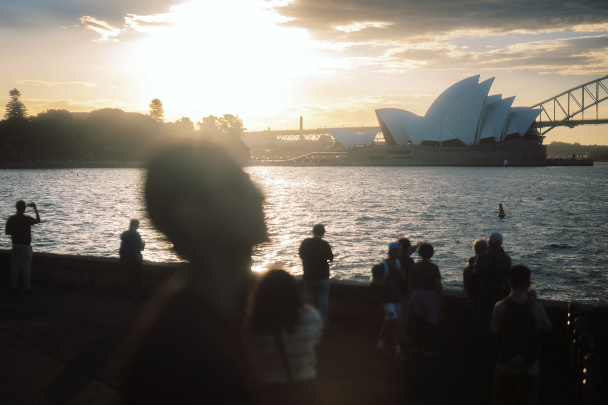 CatzCrewz tweet media