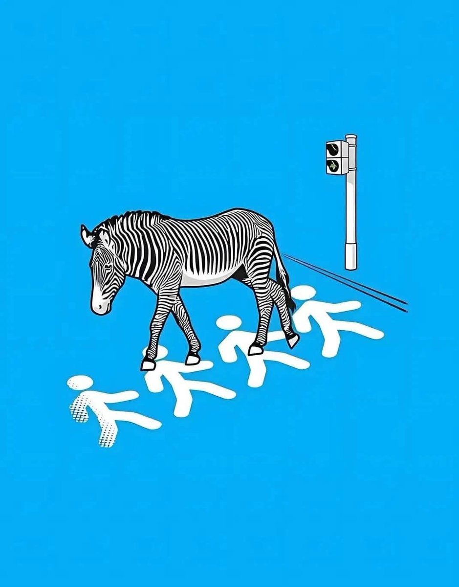 Irena Buzarewicz tweet media