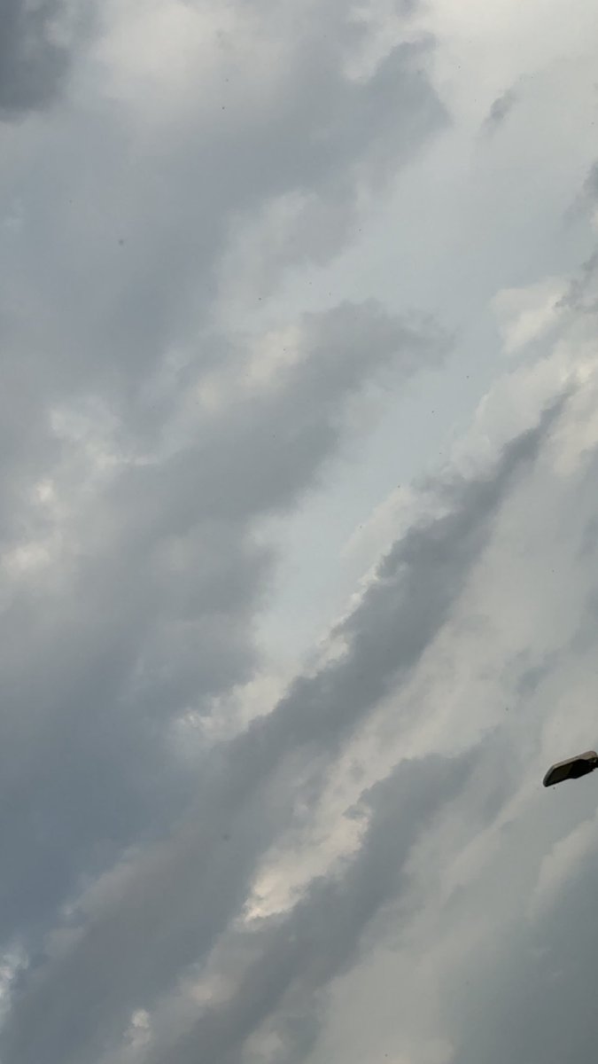 أناقة. tweet media