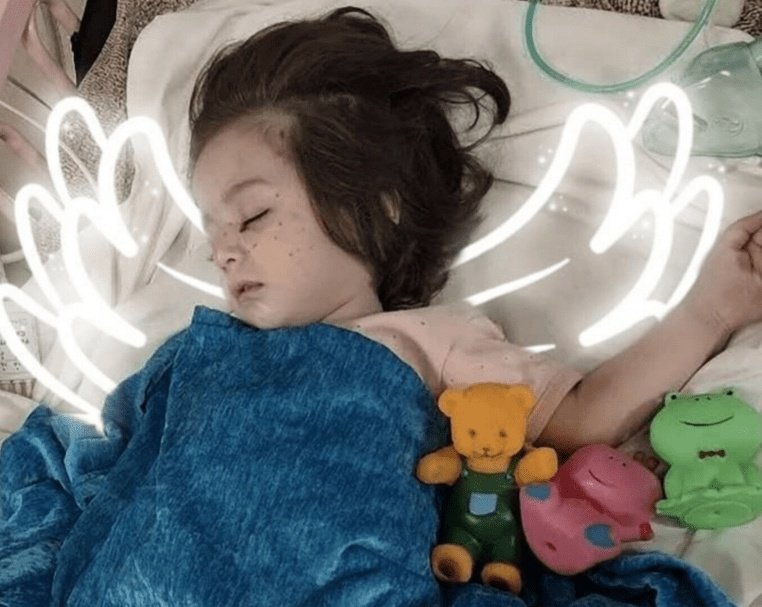 ميرُك tweet media