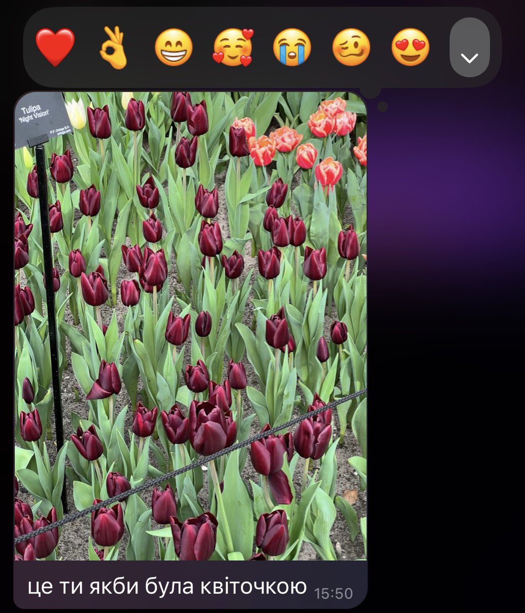 aperol mami ⁴⁴ tweet media