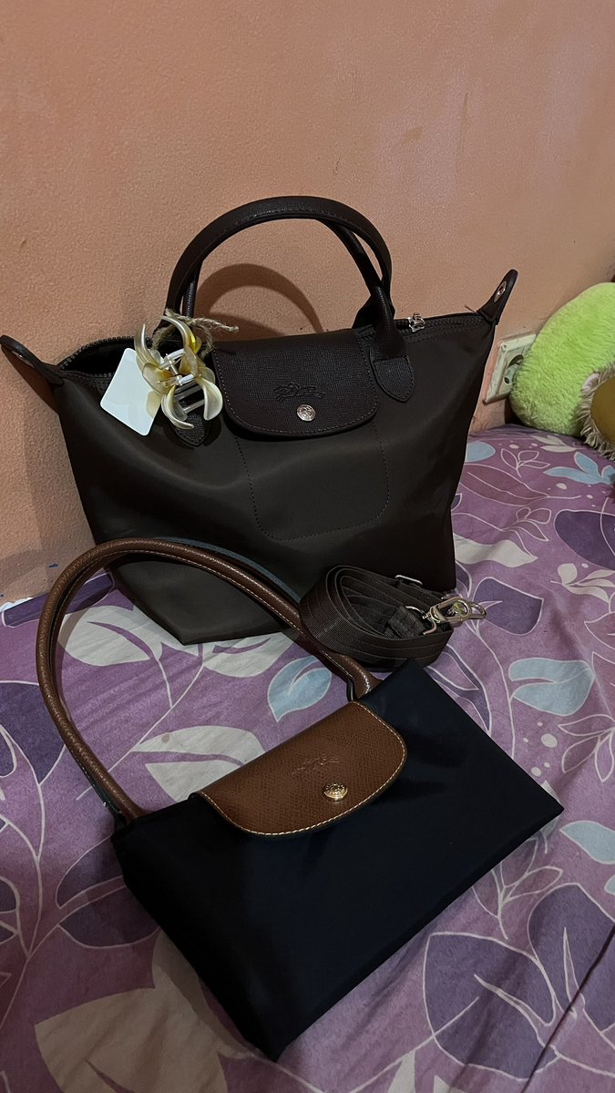 cc 🦈🎸 tweet media