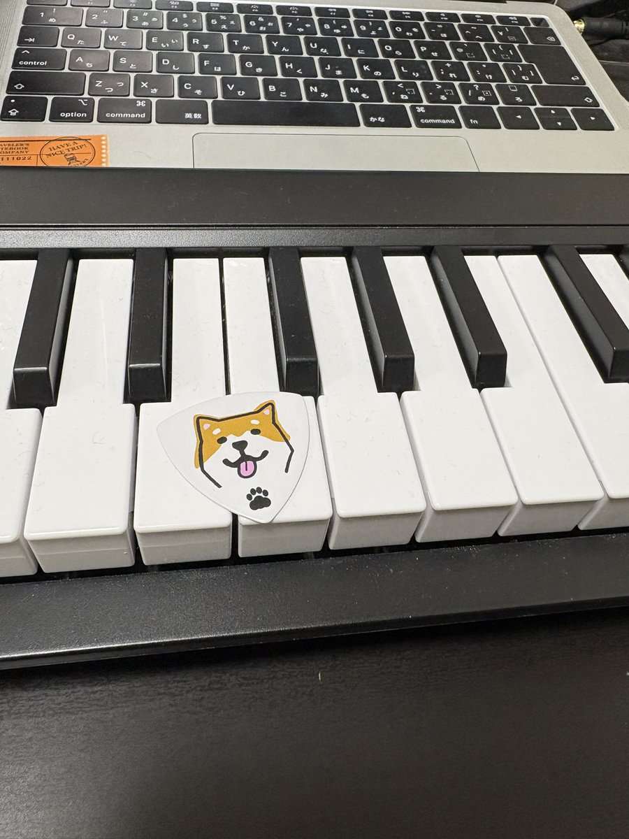 このピックが可愛いので久しぶりにピックでベースを弾いたら楽しくなってしまった！
ピック弾きも指弾きもスラップもみんな音が違うから楽しい(*´∇｀*)わん