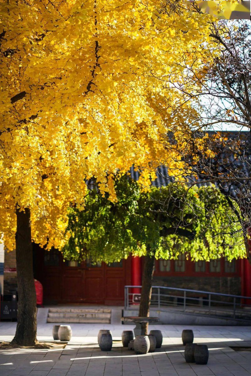 Lola Caswell tweet media