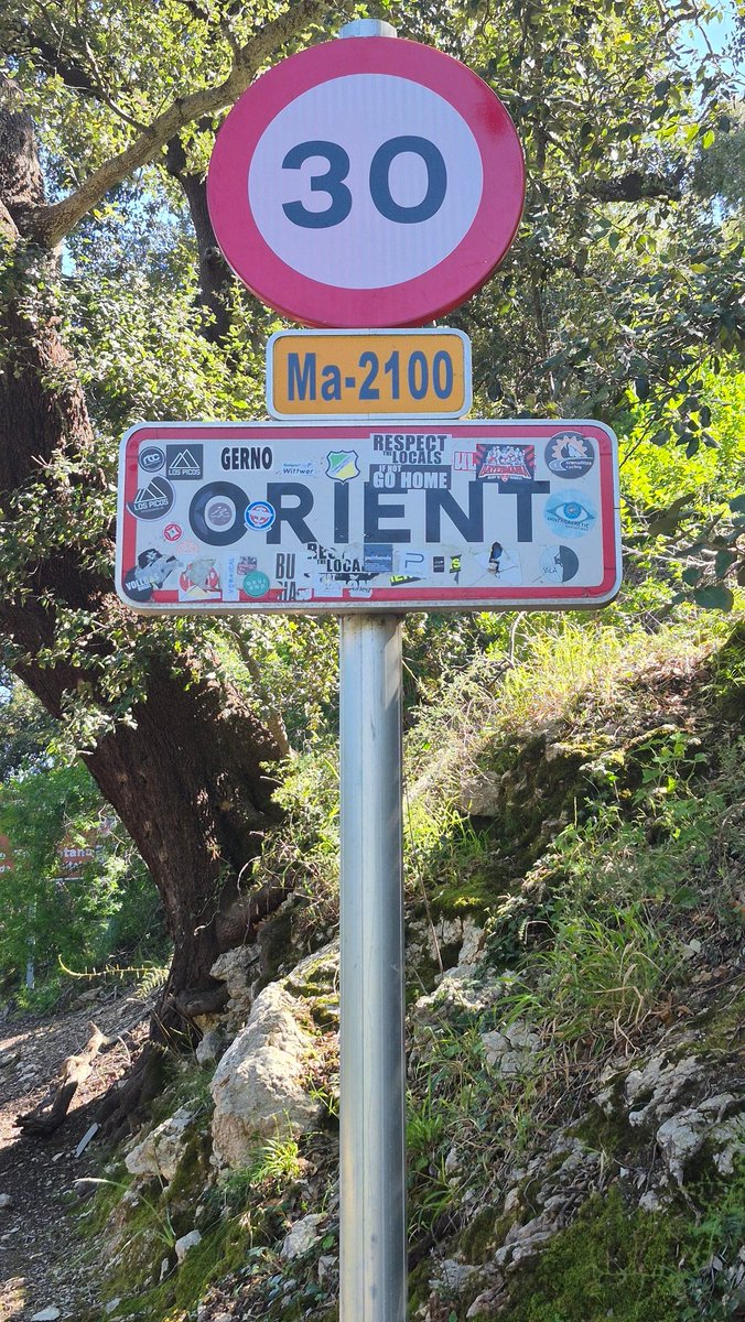 Mateu Ramonell tweet media