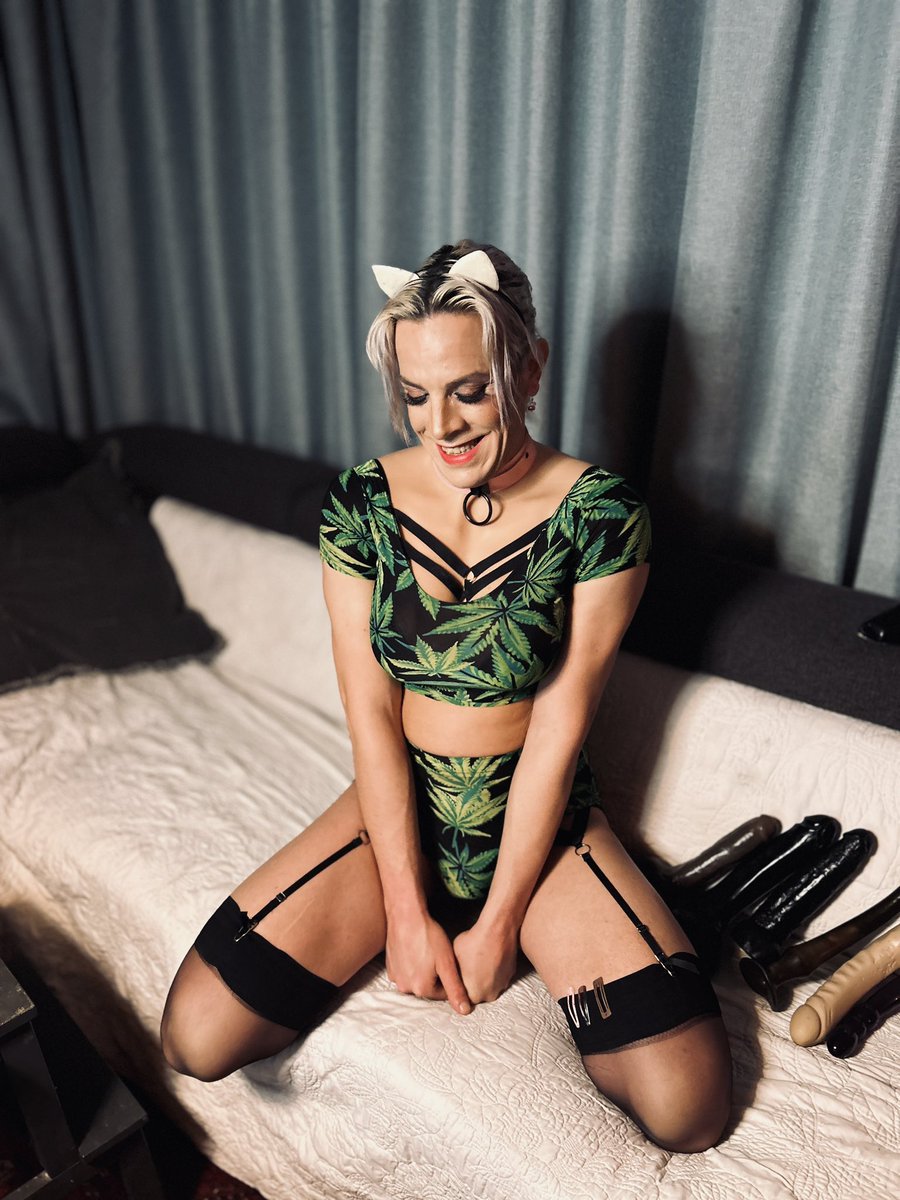 Sissy Eva Blanc tweet media