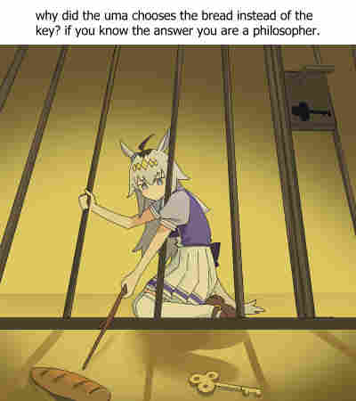 Cacatúa tweet media