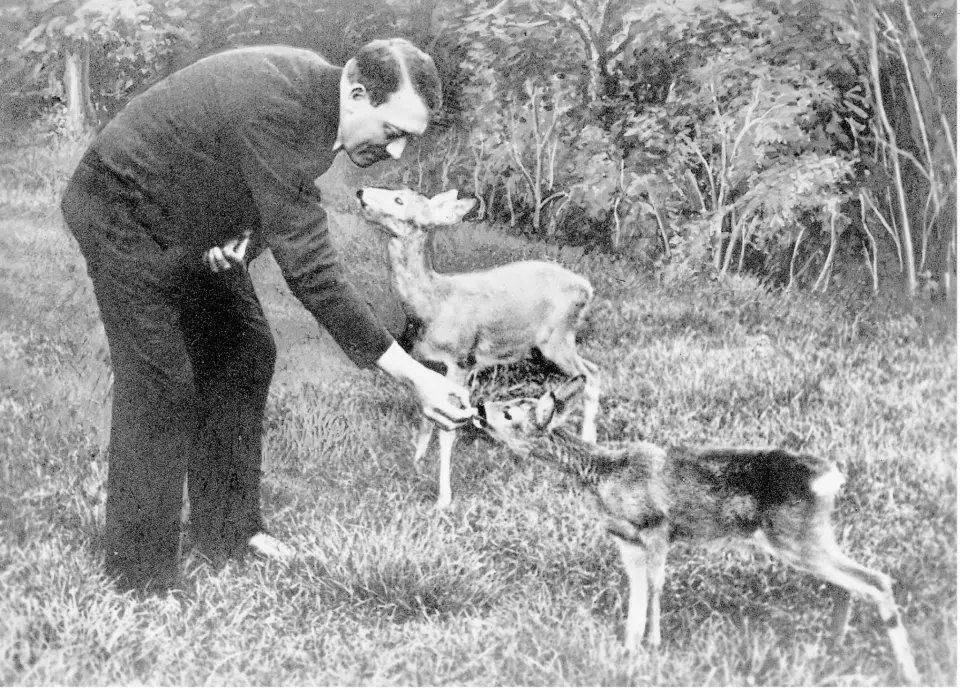 Objectivetruth tweet media