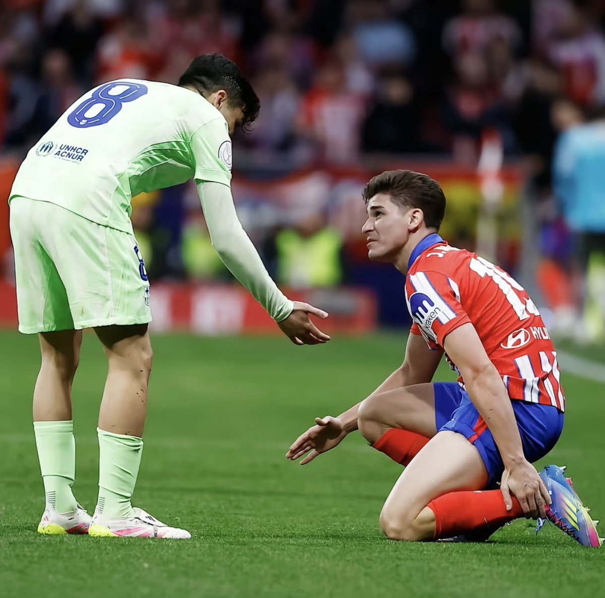 nenn (fan) tweet media