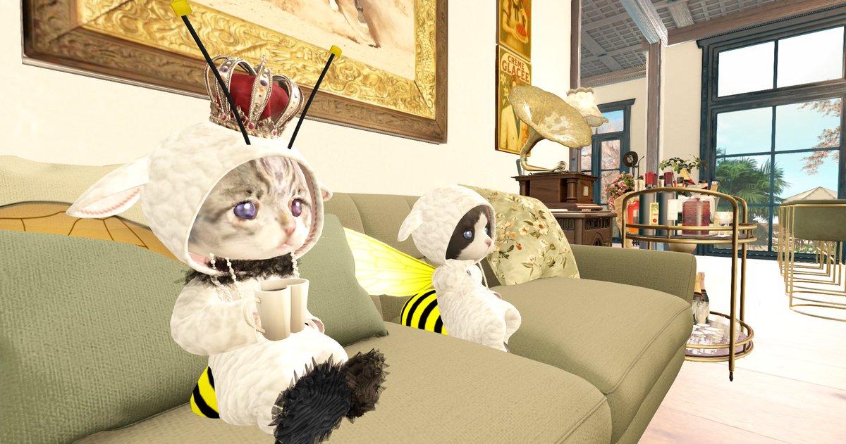 chi Okey tweet media