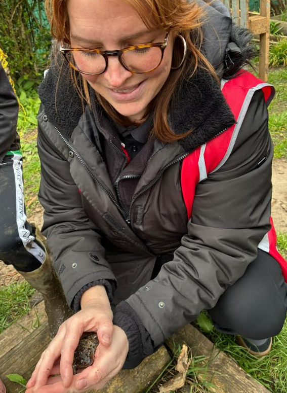 High View Primary School tweet media