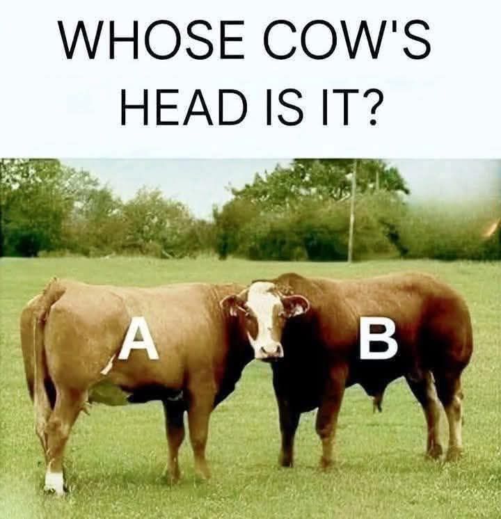 Married💍 tweet media