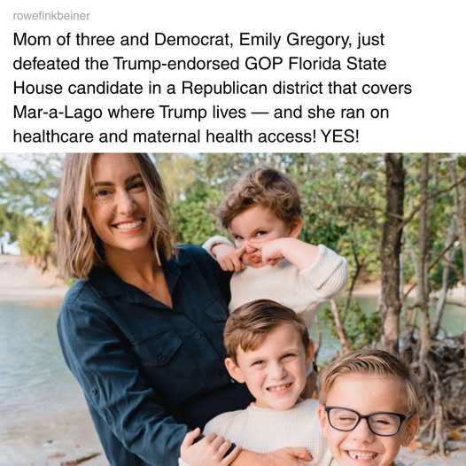 SnarkyLiberal tweet media