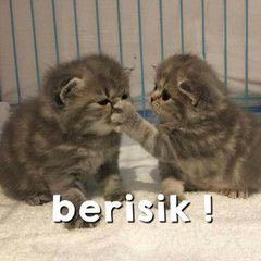 phuuphaap's tweet photo. @hayid_b @jamessuq @unthomasnt @auautnpm @cwnunew @fifatanut @FlRSTONE @zee_prvk @pharinyim @porspkarn_ @porsuppakrn @savewrpg @ynstrumen @TLEMTM @wavestnp @ponqsaton sya ksh meme juga mewakili p'jem https://t.co/d1sPgnpdpg
