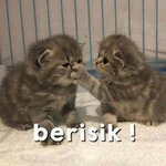 Photo by 𝐏𝐡𝐮𝐩𝐚 (@phuuphaap)