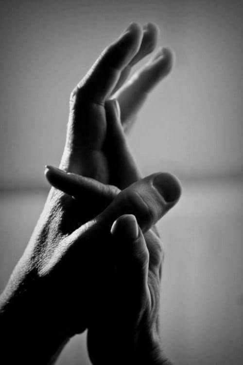 ❣️Danzart❣️ tweet media