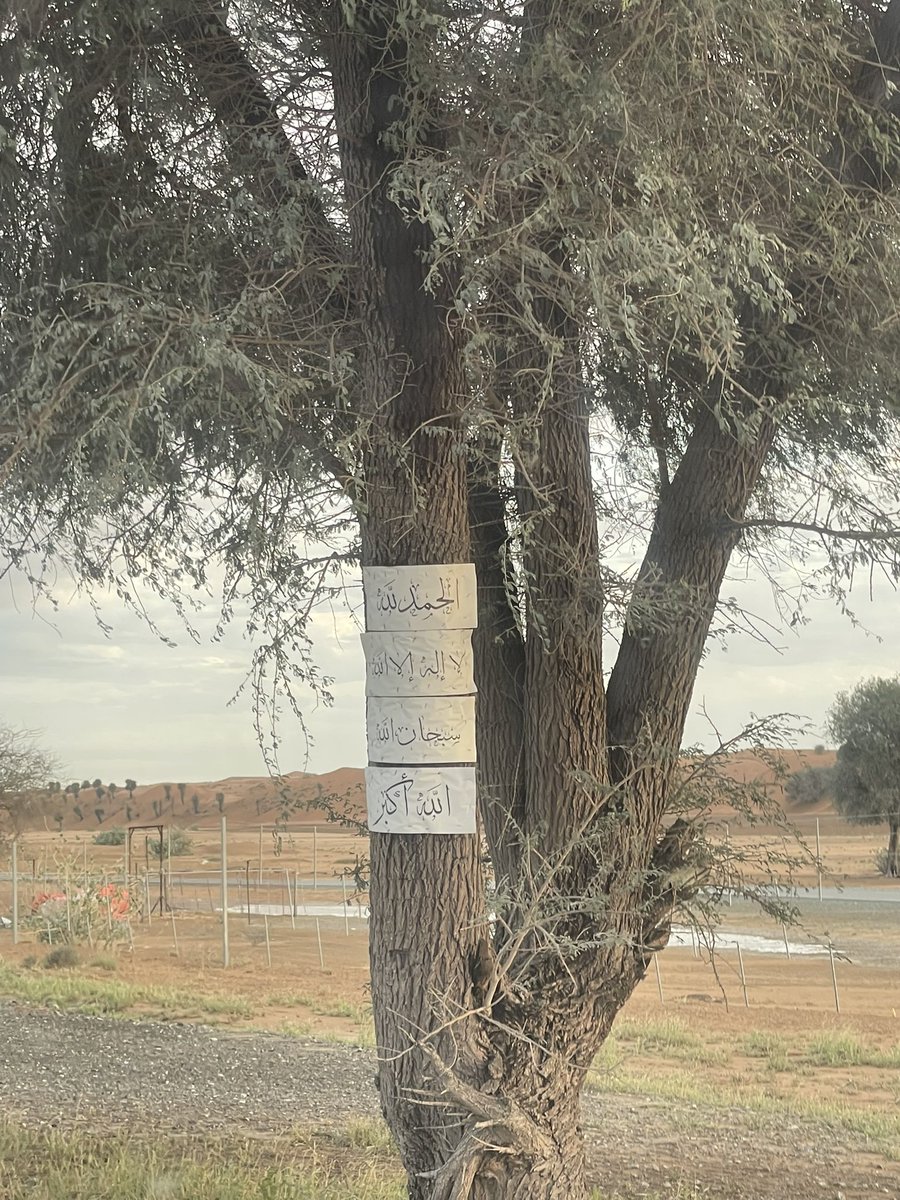 Hope in Arabic tweet media