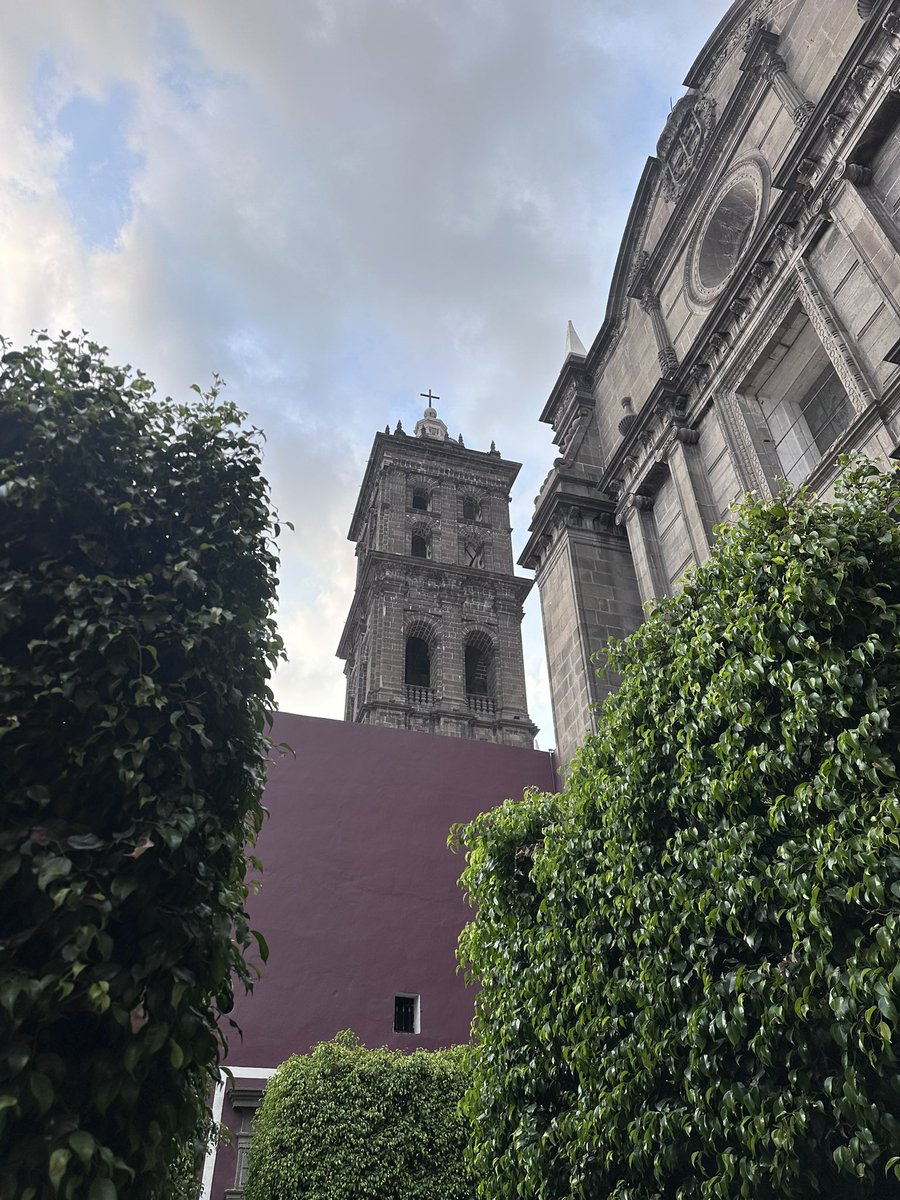 Damon Zumbroegel tweet media