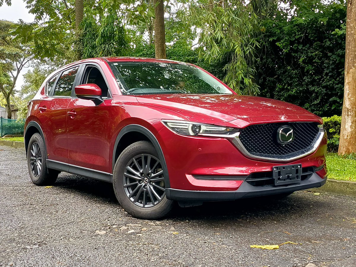 Gitz  tweet media