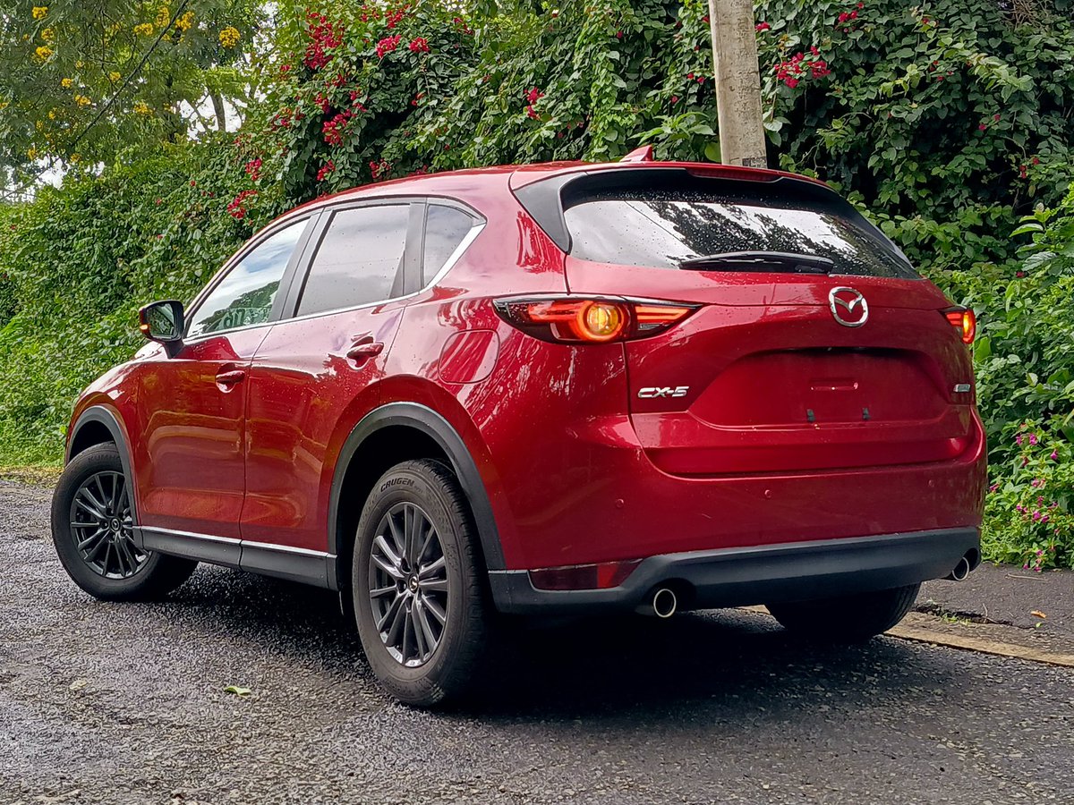 Gitz  tweet media