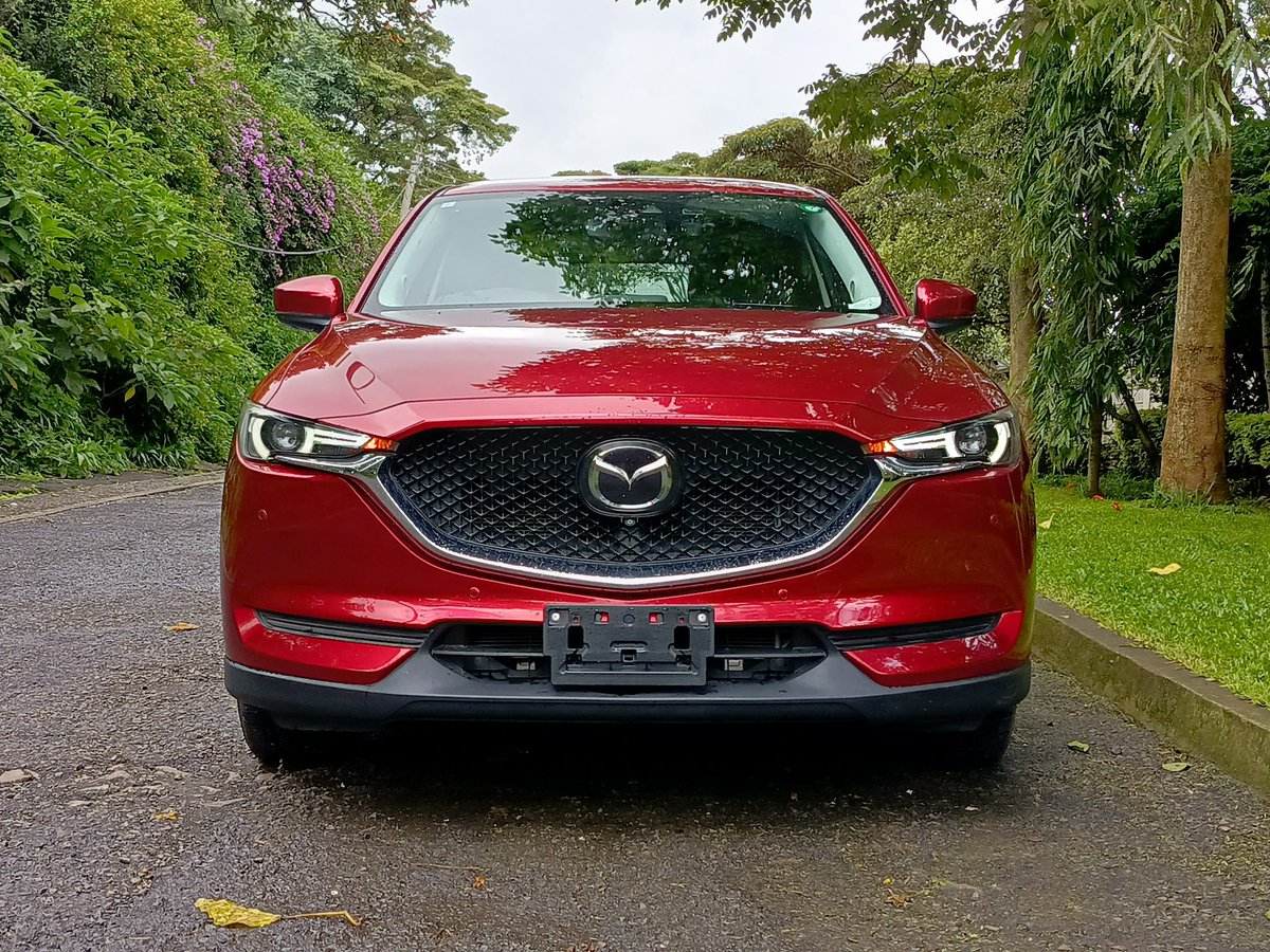 Gitz  tweet media