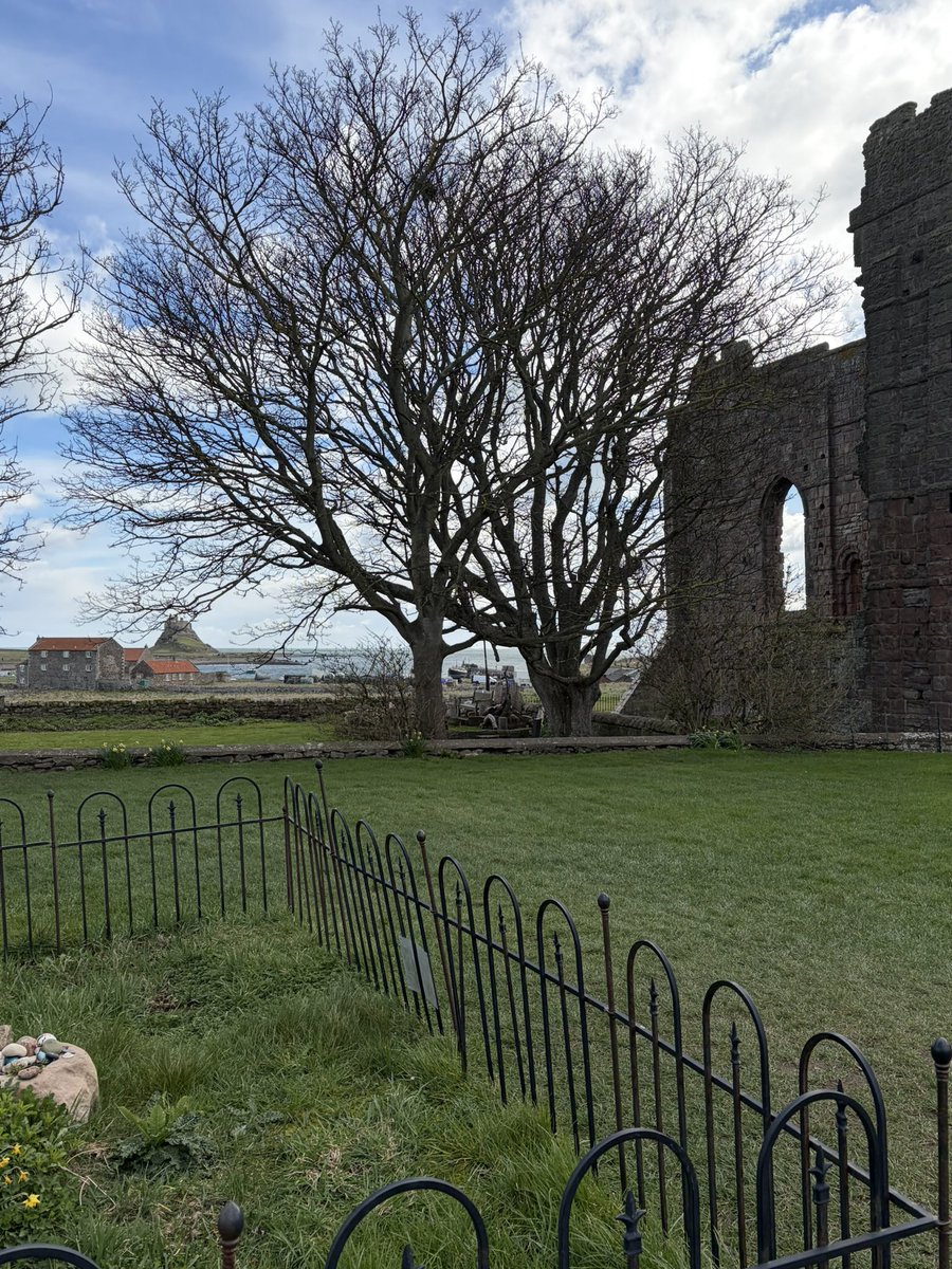 Lorraine Scorah tweet media