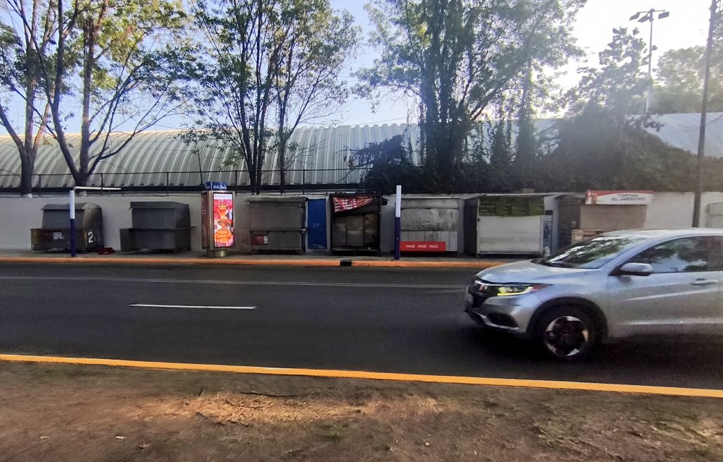 Peatón del sur tweet media