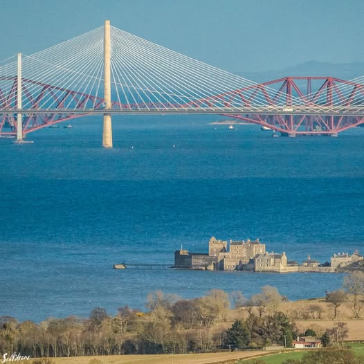 freddie barss tweet media