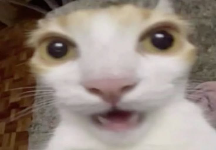 Sam🧪/🚸 tweet media