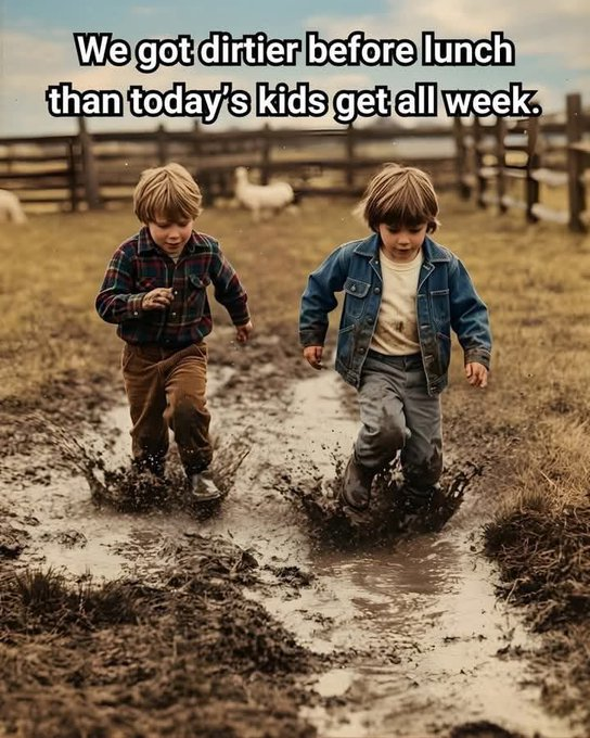 lisahsmithlhs tweet media