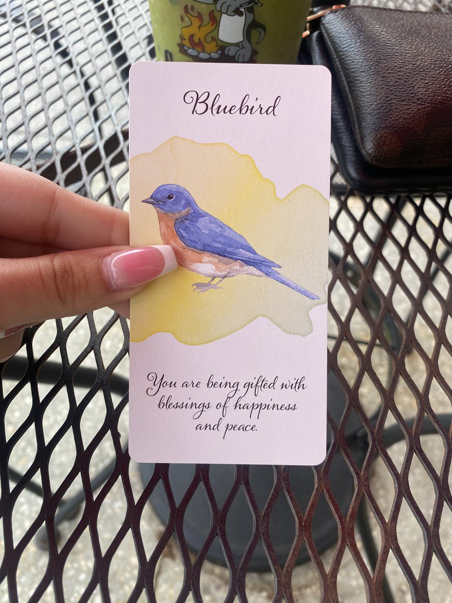 𐔌՞. .՞𐦯 roxie ⋆˙⟡ tarot tweet media