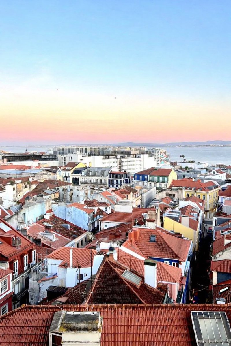 Rui António tweet media