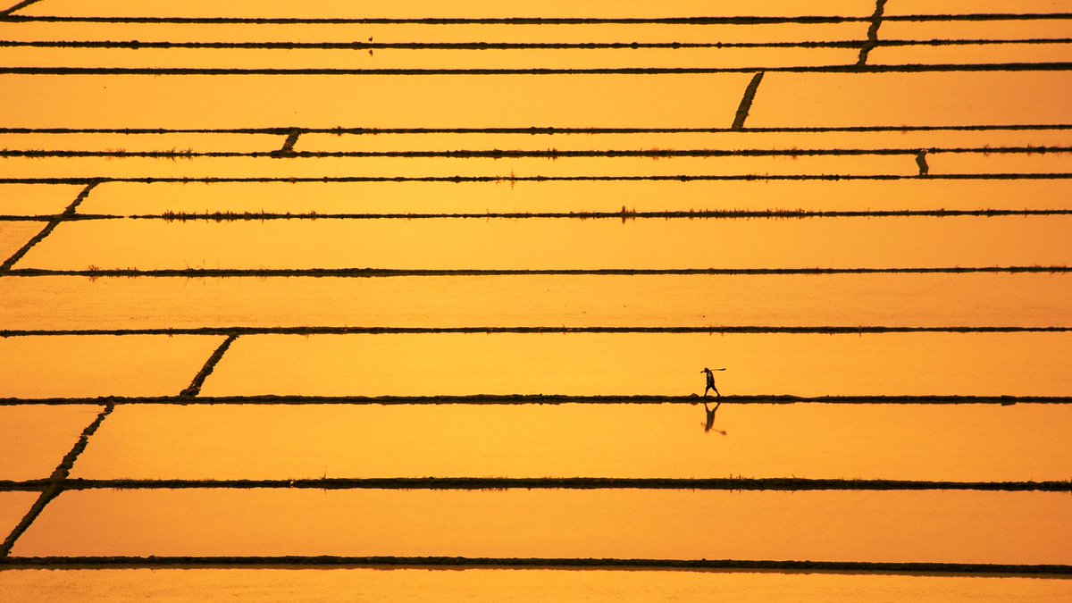 Mustafa Erbaş | NFT.NYC 24 / 25 tweet media